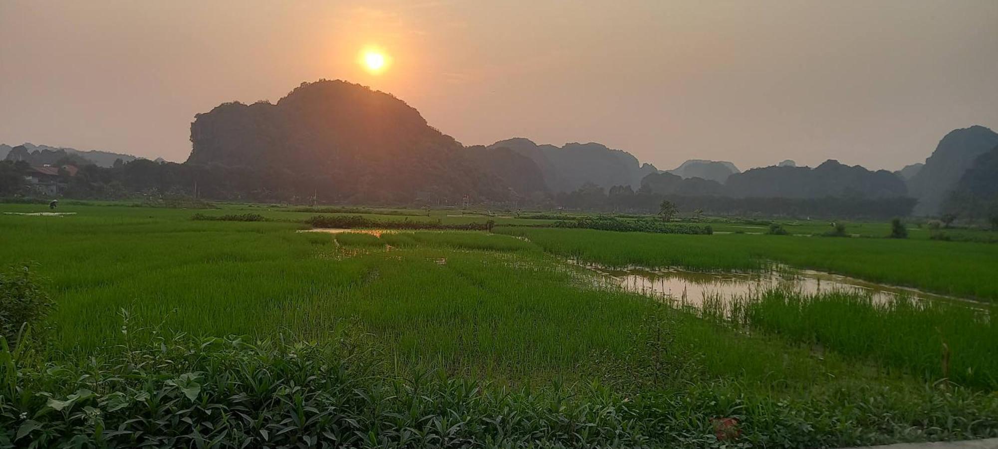Tam Coc Riverside Homestay Ninh Binh Bagian luar foto