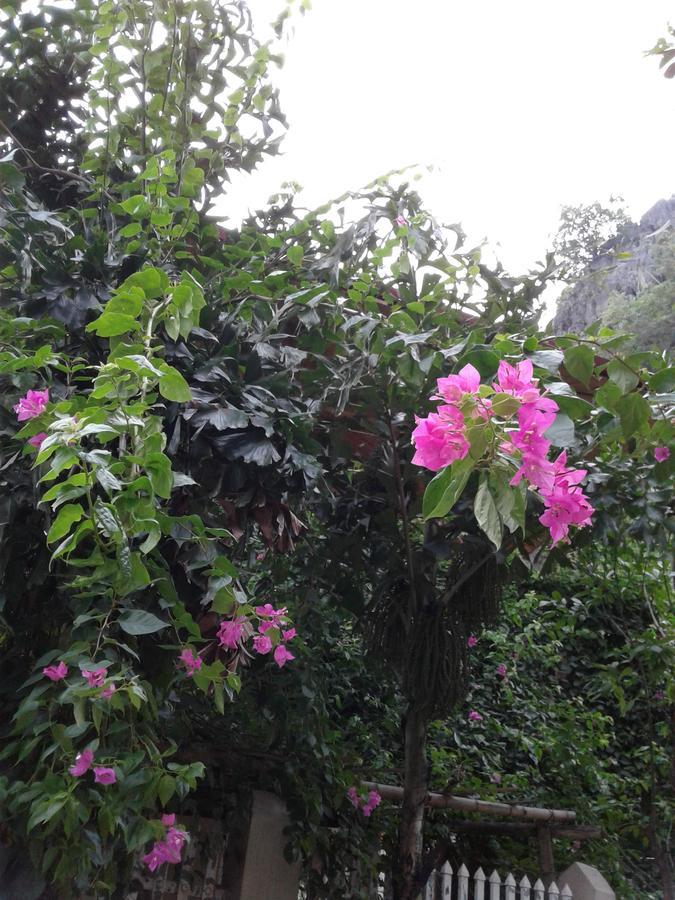 Tam Coc Riverside Homestay Ninh Binh Bagian luar foto