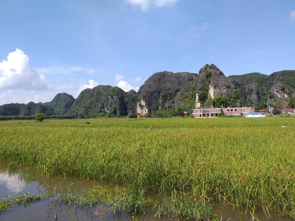 Tam Coc Riverside Homestay Ninh Binh Bagian luar foto